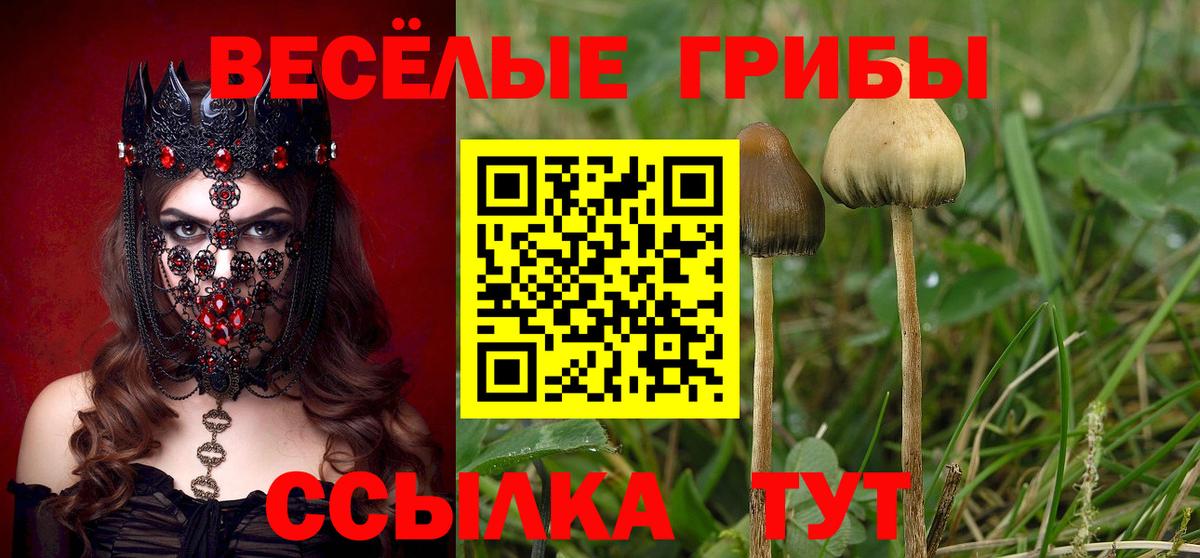 магазин продажи   Галлюциногенные грибы прущие грибы  Вход с VPN  Гулькевичи 